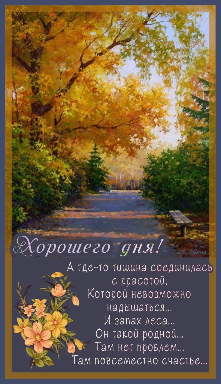 м ёдСорошего унд _ А тдо то тишина соединилась с красотой Которой невозможно надышаться И запах Асса Он такой родной Там нот промои Там повсеместно счастье