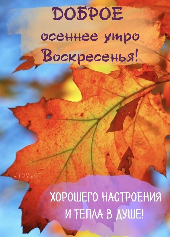 О РОЕ _ осеннее утро 3 Воскресеньі