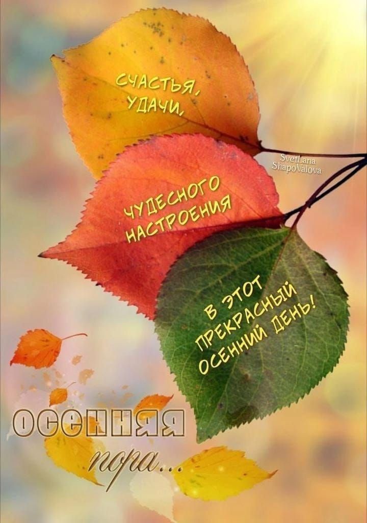 ШШШШ 4711