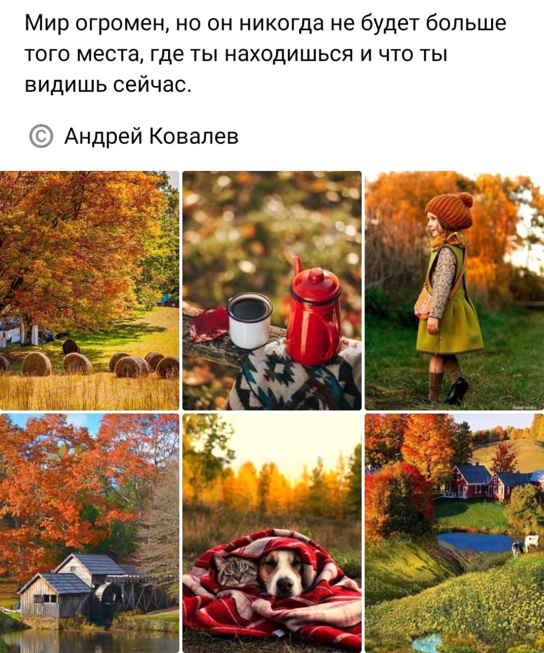 Мир огромен но он никогда не будет больше того места где ты находишься и что ты видишь сейчас Андрей Ковалев