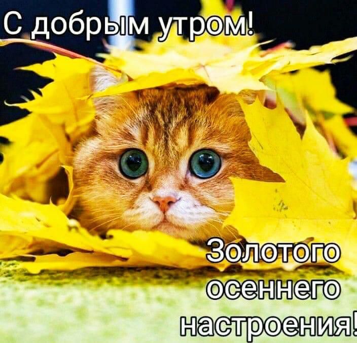 С добрым утрам Еч ___ Зал Т Е