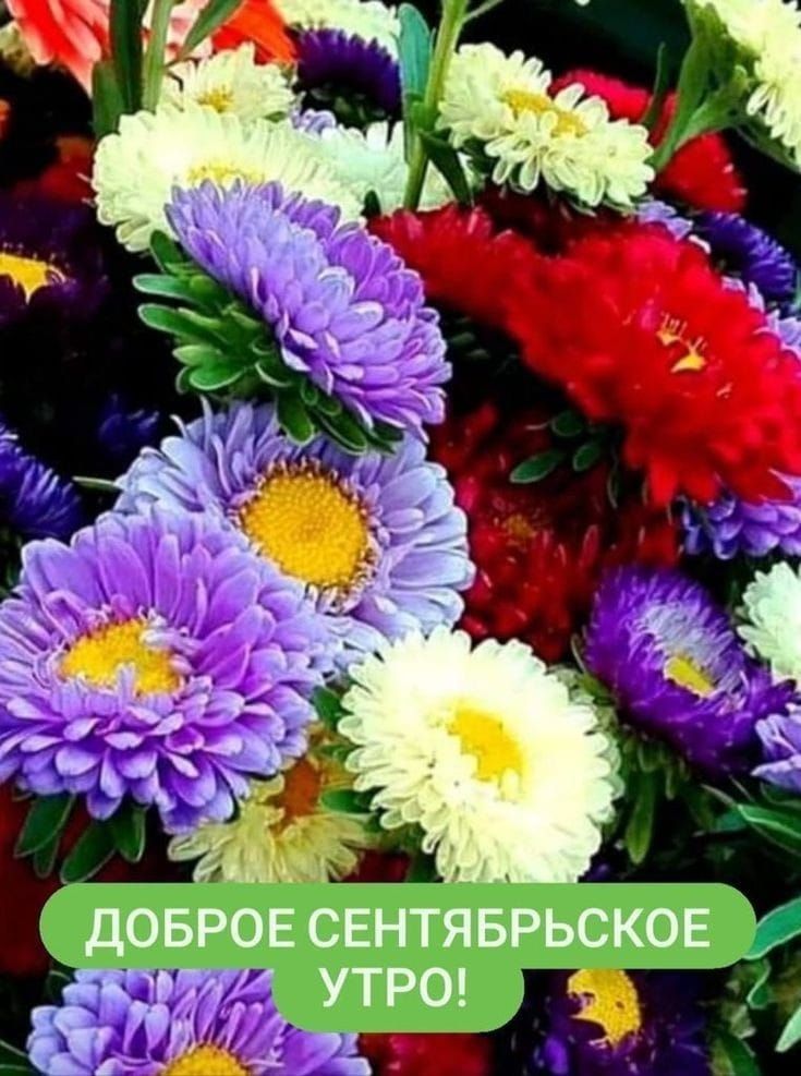 дОБРОЕ СЕНТЯБРЬСКОЕ УТРО