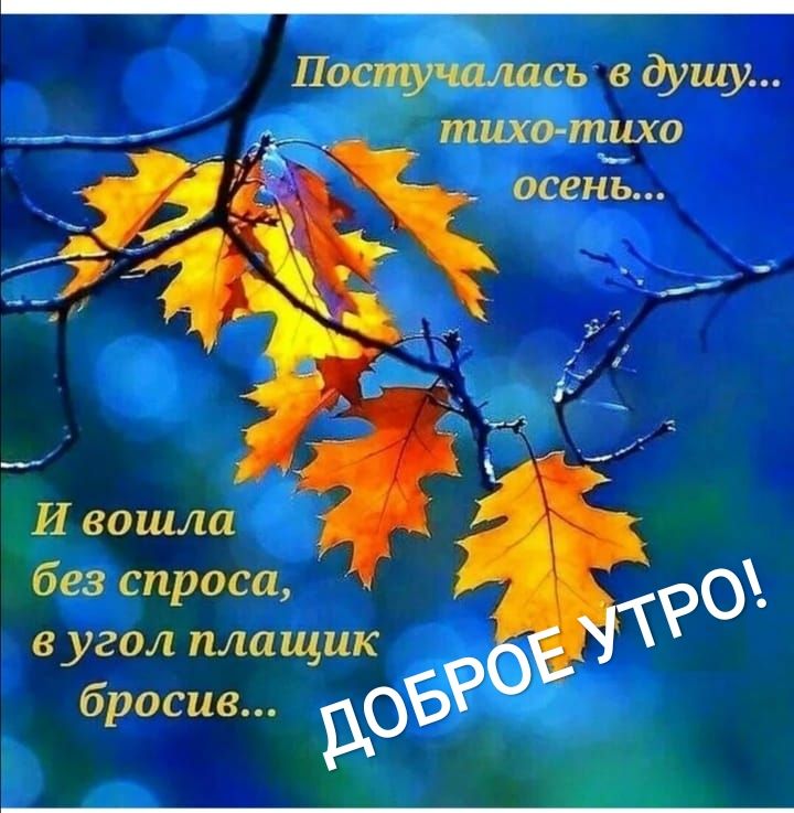 Поспучцлась душу тихо тихо осень без спроса в угол плащик бросив об Р