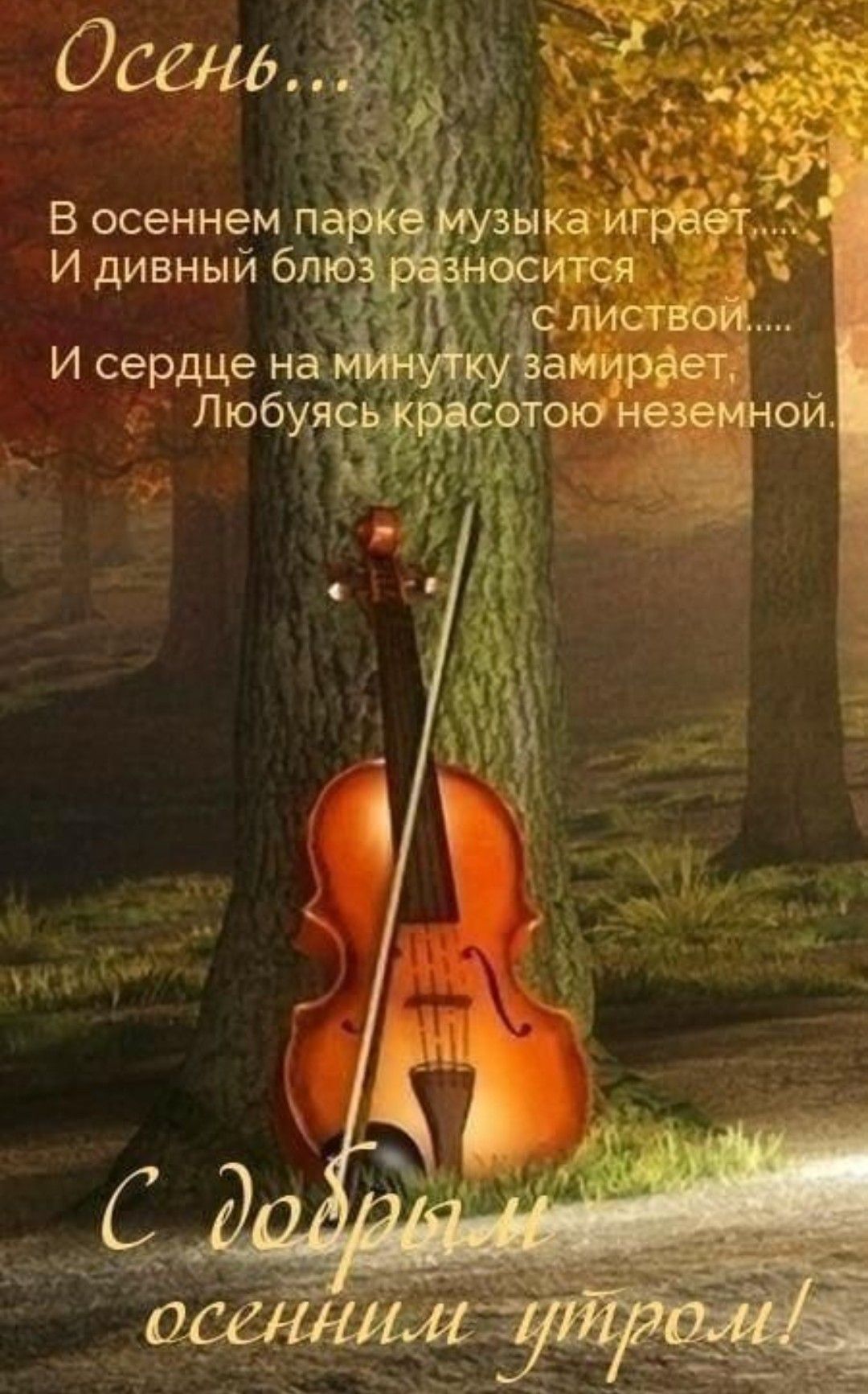 И сердце на