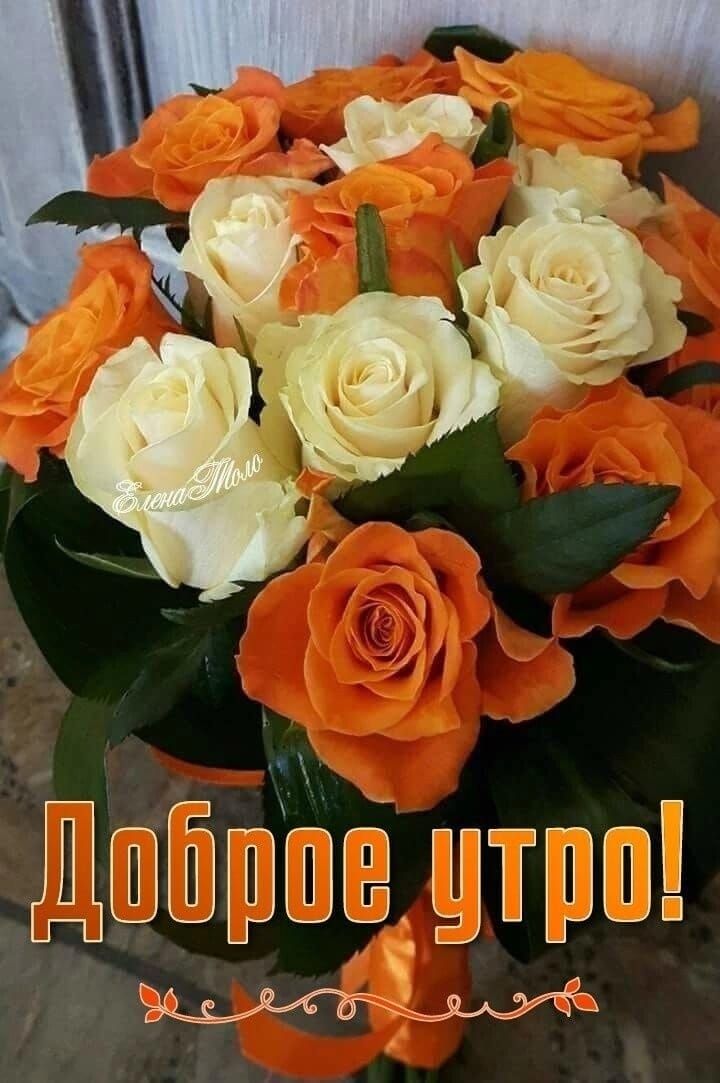 3 Побров утро