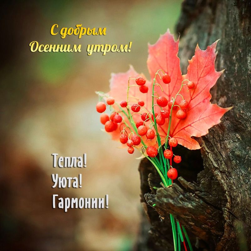 шл утроги