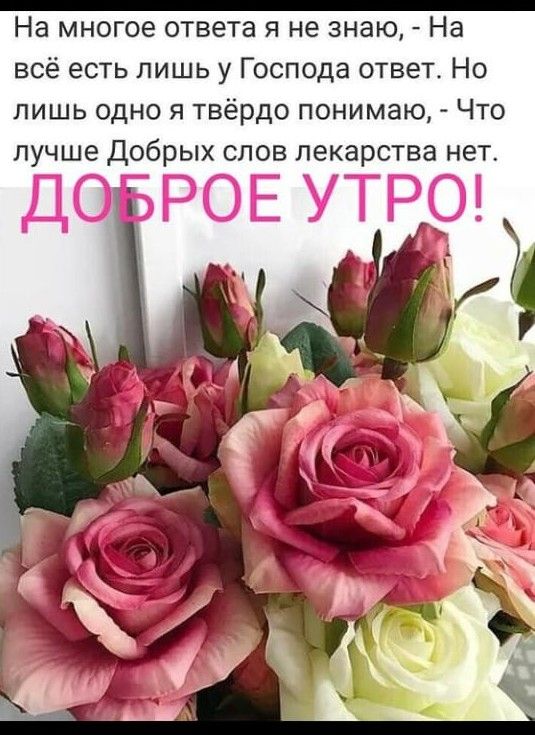 _ На многое ответа я не знаю На всё есть лишь у Господа ответ Но лишь одно я твёрдо понимаю Что лучше Добрых слов лекарства нет