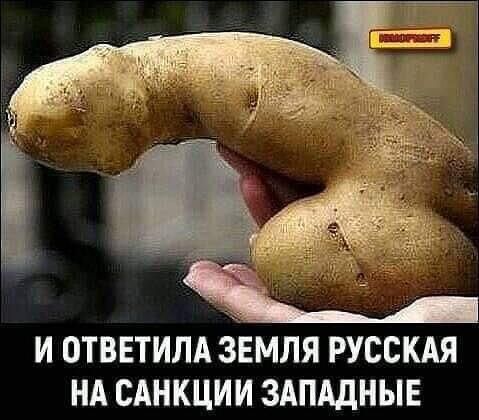 и отввтипд зЪмля русскдя нд САНКЦИИ здпддныг