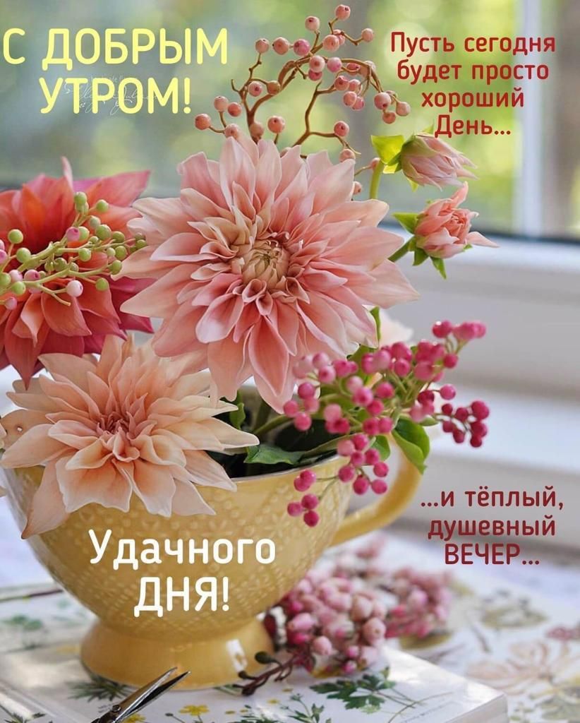 7 и тёплый