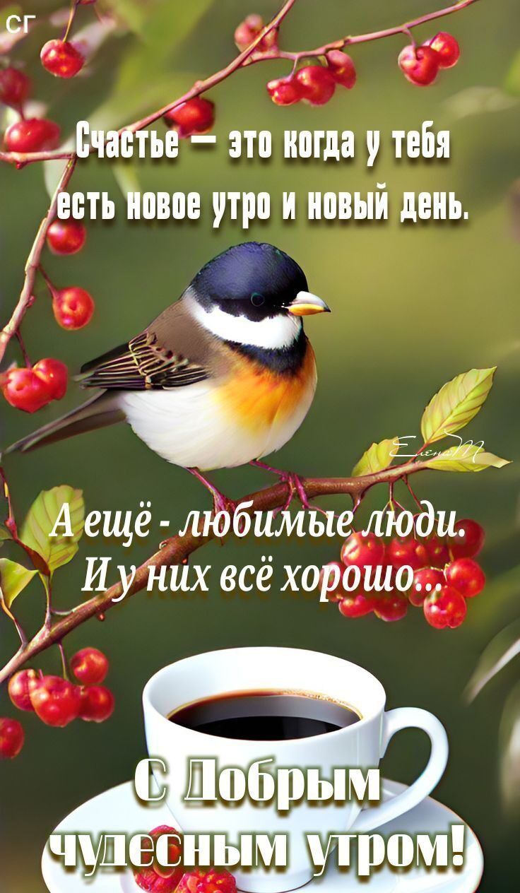 щи _ г дтп зтп кагда тебя _сть наш утро и ипвыі день А ещё любимые люди И у них всё хорошо