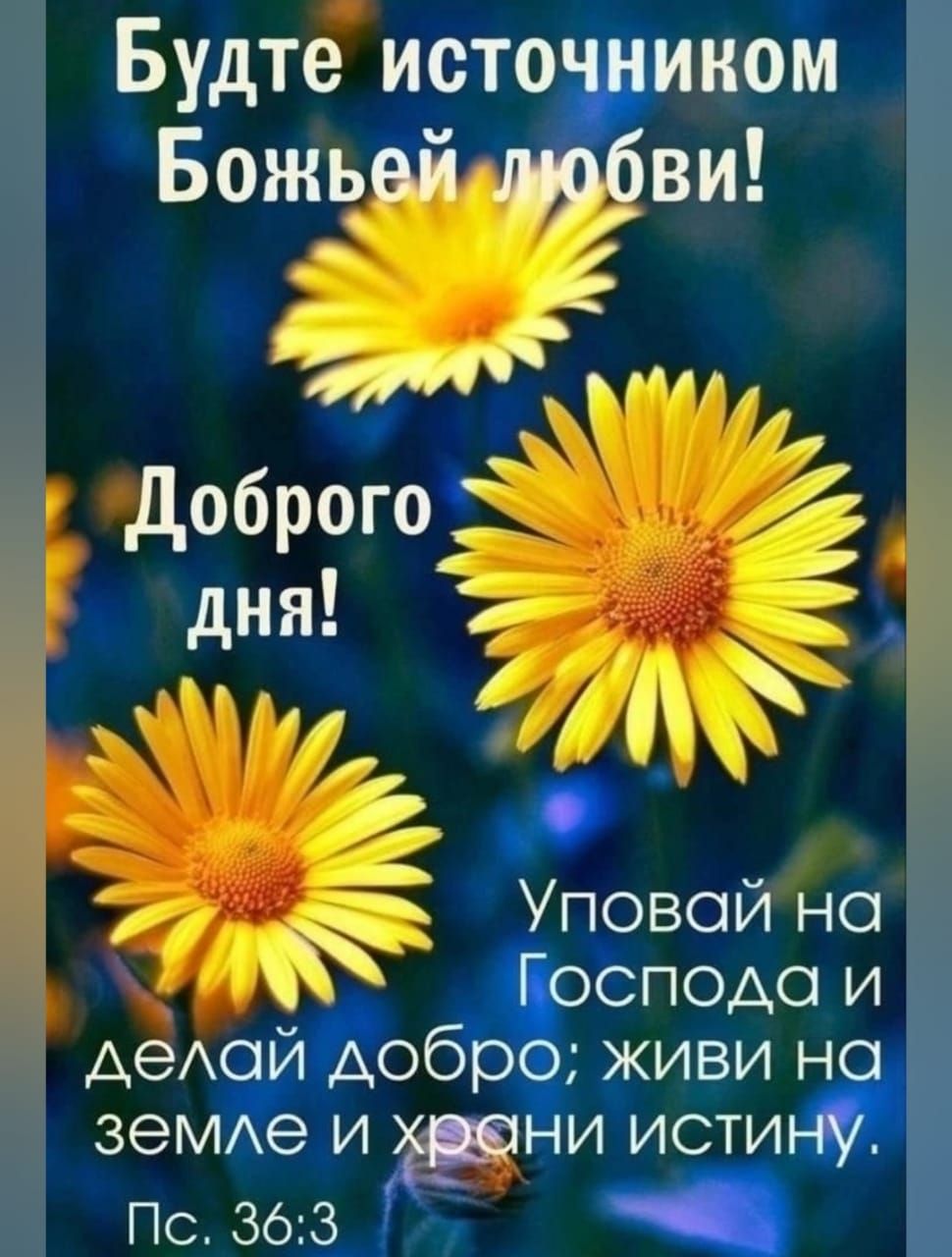 Божь Будте ибто ной