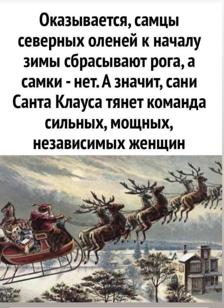 Оказывается самцы северных оленей к началу зимы сбрасывают рога а самки нетА значит сани Санта Клауса тянет команда сильных мощных независимых женщин 95