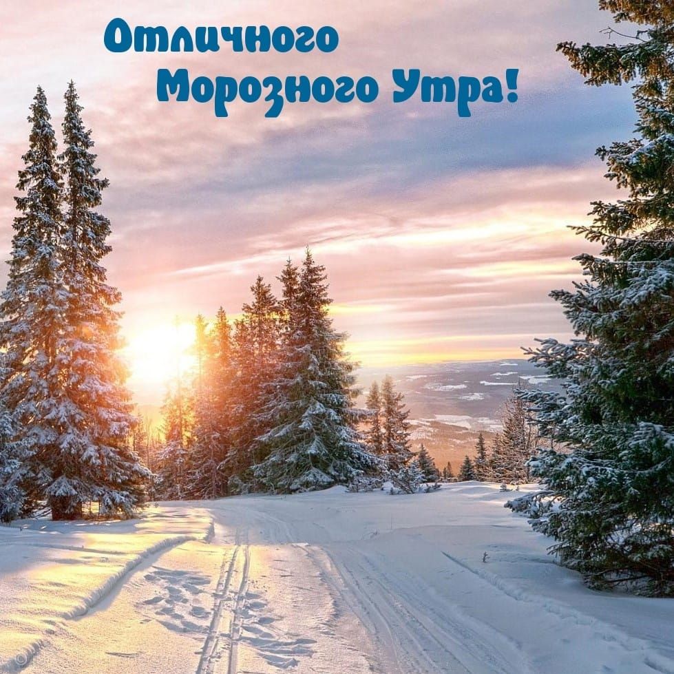 ЦСЁЩ