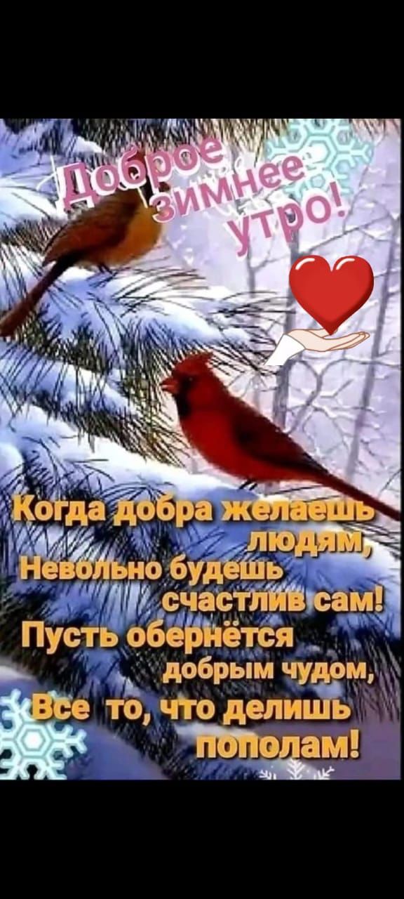 чтот т