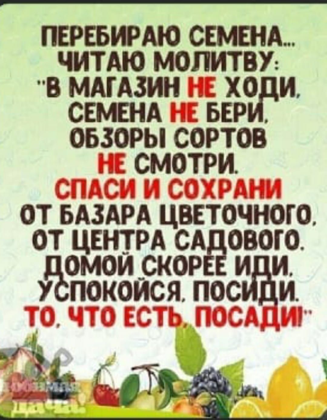 пшвирдю самым ЧИТАЮ молитву в МАГАЗИН15ХО и семшд ьвр овзоры сортов смотри ОТ БАЗАРА ЦВЕТОЧНОГО ОТ ЦЕНТРА СА ЪВОГО уОМОИ _СКОР ПОКОИСЯ ПООи