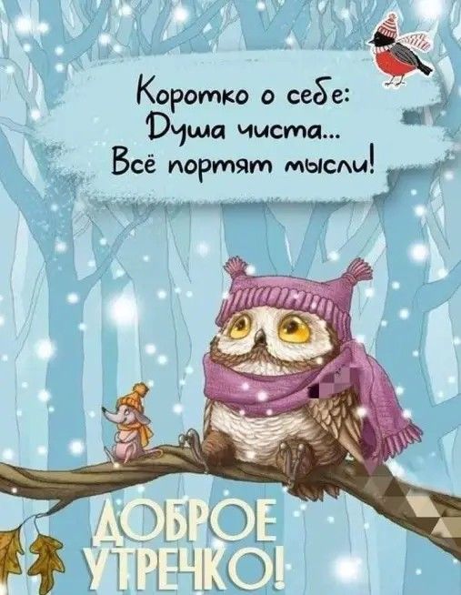 1 Коротко о себе 5 В чиста Всё портят мыеУ О _ МОЁ ііЁЧііО