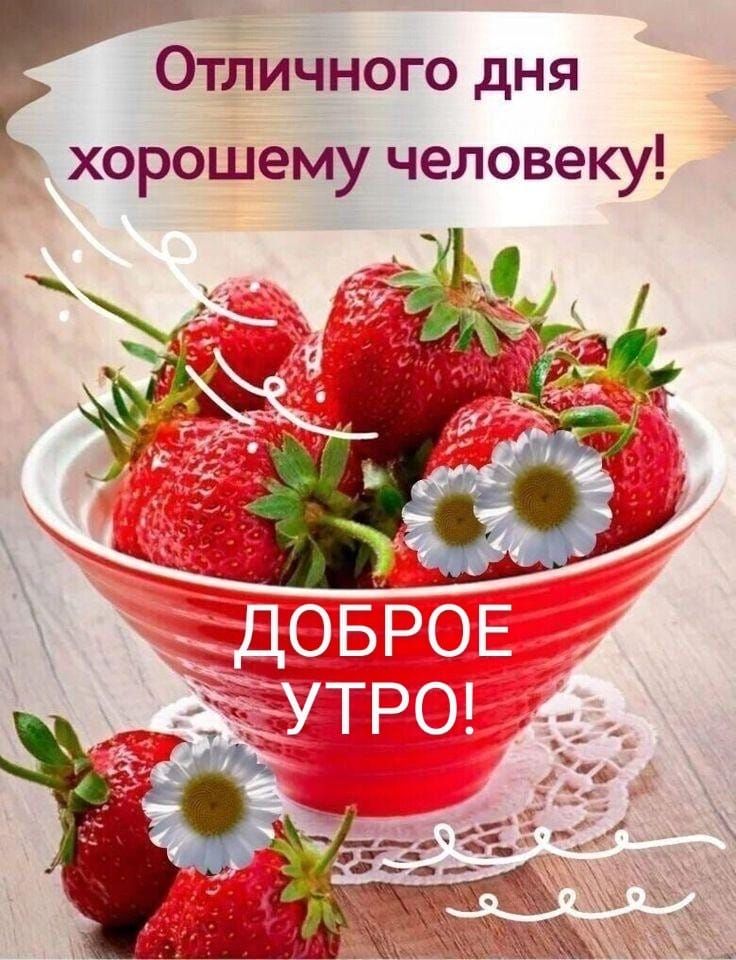 Отличного дня хорошему человеку