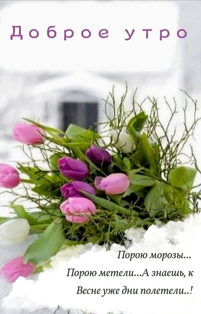 доброе утро Порою морозы Порою метелиА знаешц к Весне уже дни полетеш