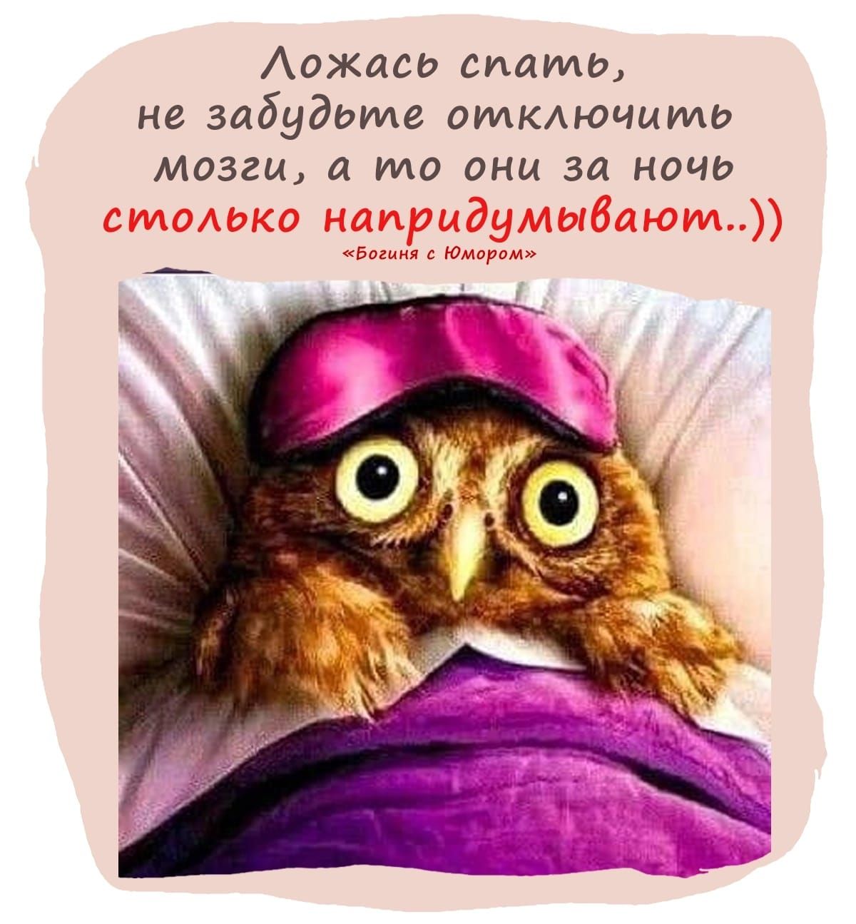 Аажась спать не забудьте откючммь мозги и то они за ночь