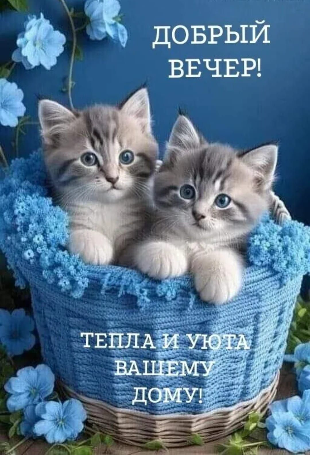 доврый ВЕЧЕР
