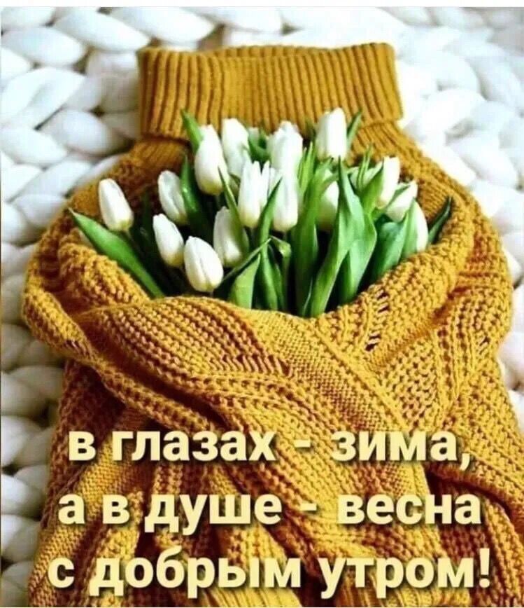 _ в глазах зима а в душё весна _с__д9Ёрымутромщ_