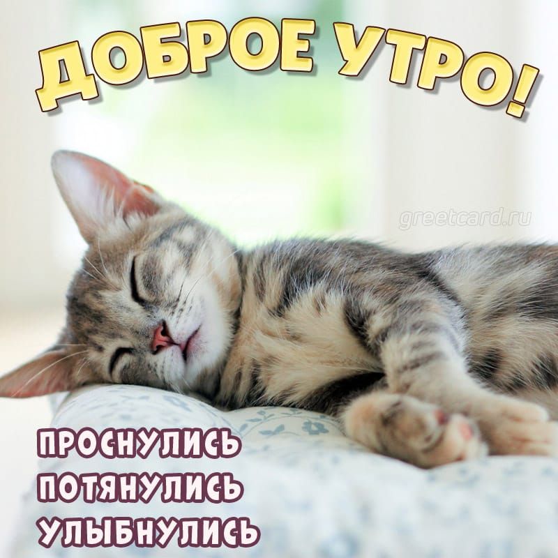 потянулись упывиупись