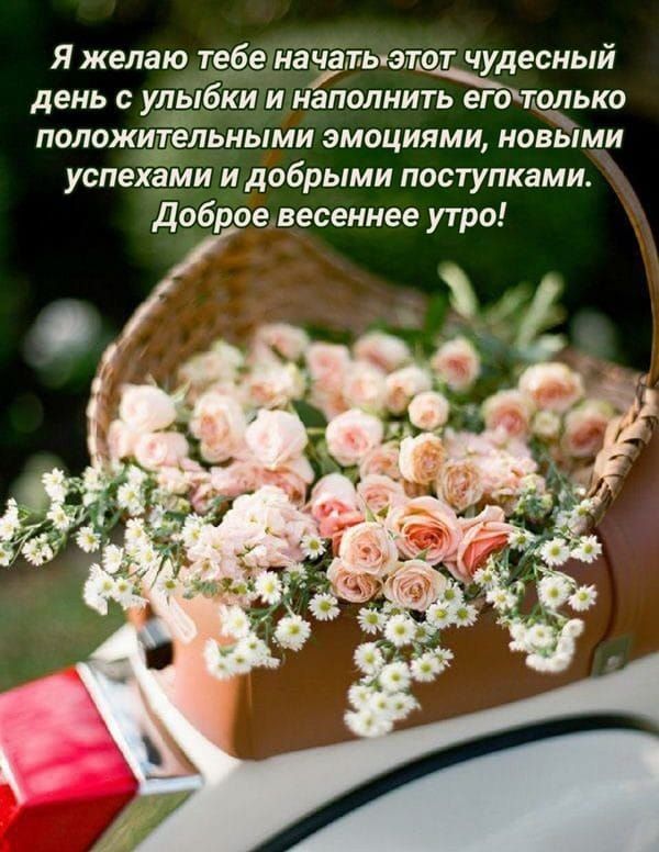 Я желаю тебе иачать этщдесиый день С улыбки И НЭТТОЛНИТЬ еГОчГОЛЬКО положительными эмоциями новыми успехами И добрыми ПОСТУПКВМИ доброевесеннее утро