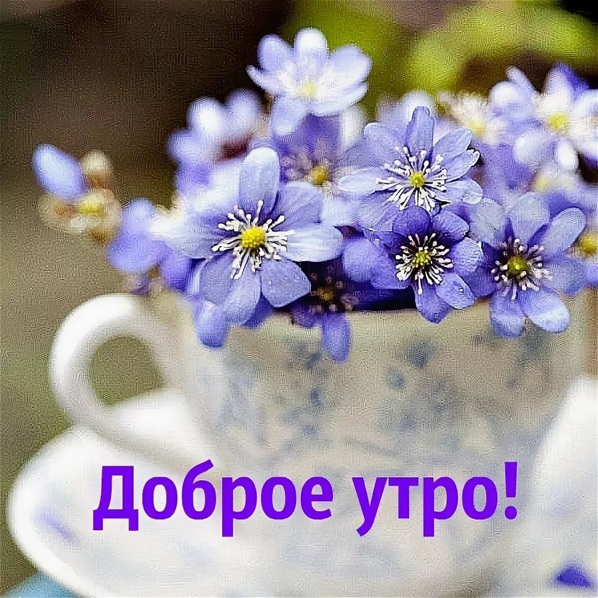 доброе утро