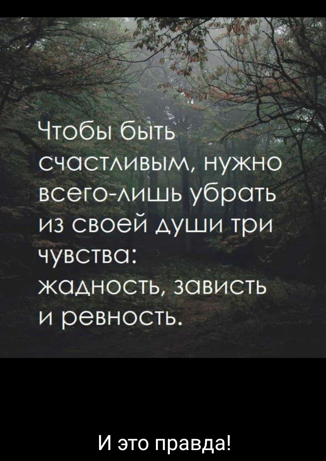 из своей АУШИ три чувство _ жадность завИсть и ревность И это правда