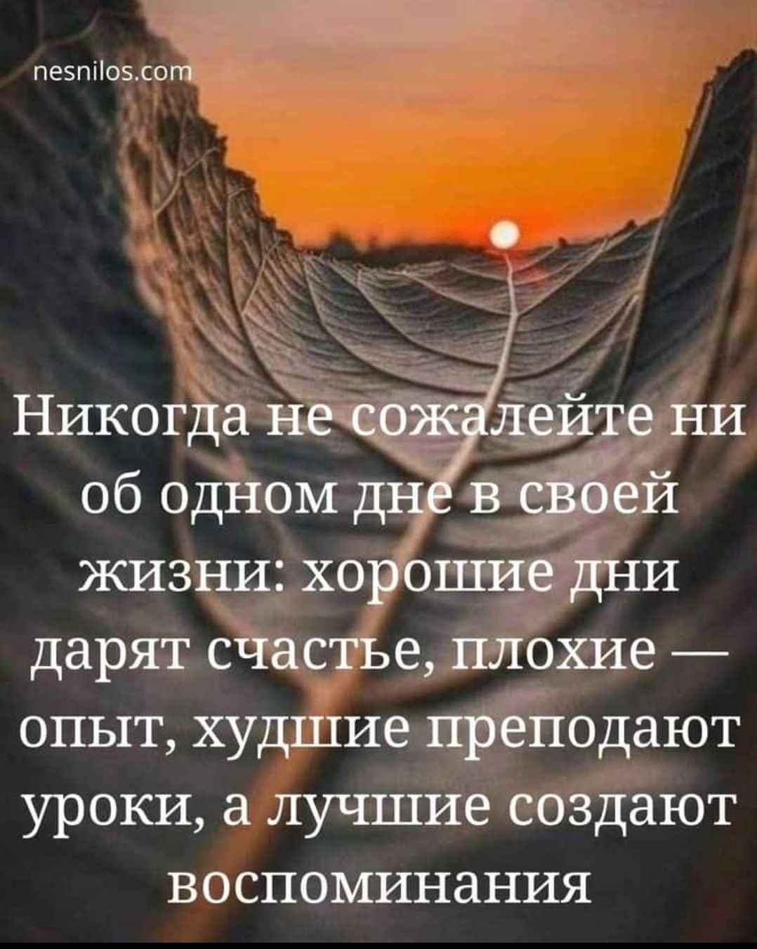 пе5п0сст жизни хорошие дни дарят счастье плохие опыт худшие преподают уроки а лучшие создают воспоминания