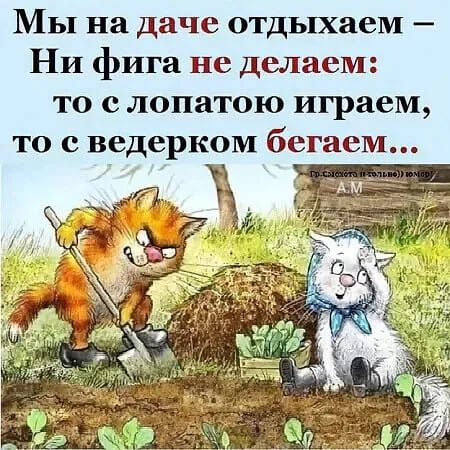 Мы на даче отдыхаем Ни фига не делаем то с лопатою играем то с ведерком бегаем