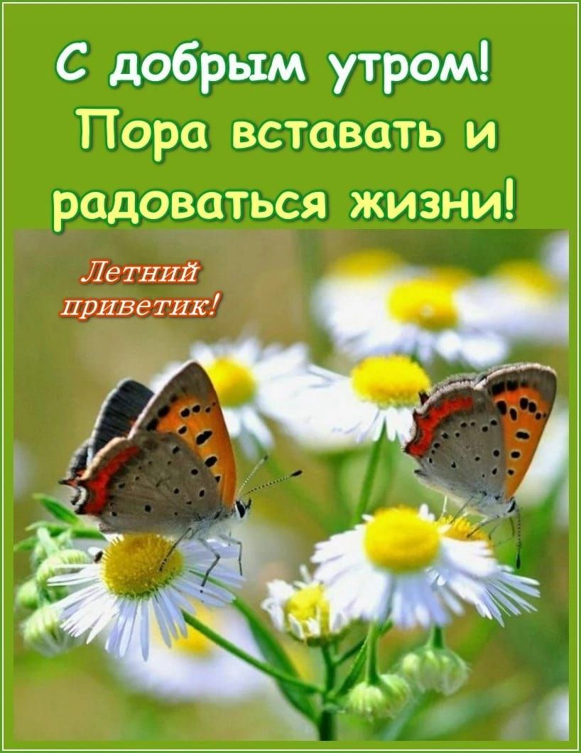 С добрым утром Пора вставать и радоваться жизни Ле 771111 приветик