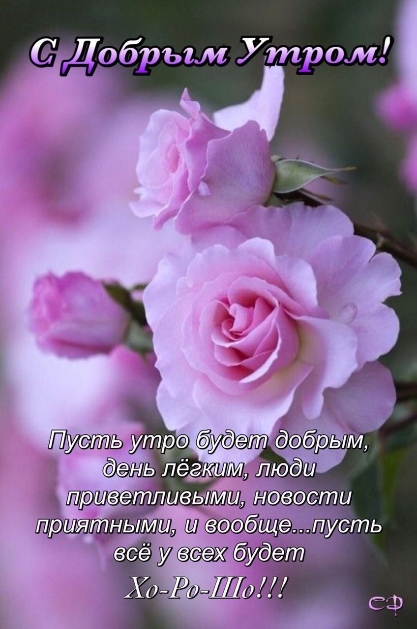 Добрым Утром
