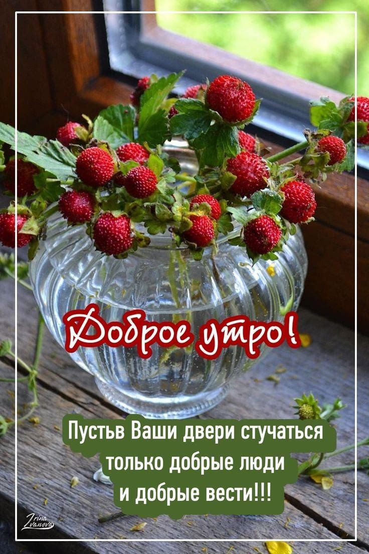 4 добрые вест только добрые люди