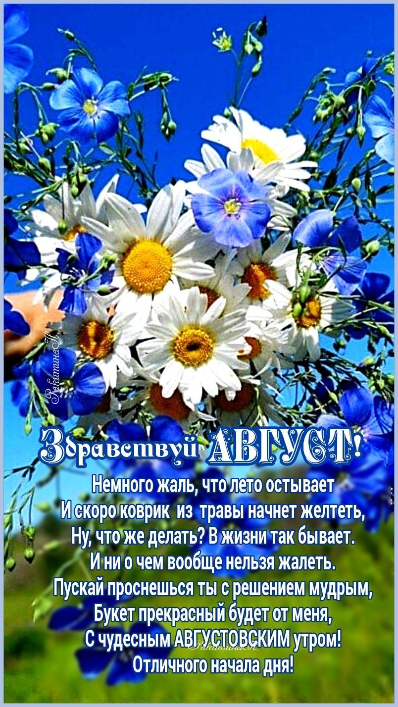 Немного жаль что лето остываетг орошоврин и траны начнет желтеть Ну что же делать В жизни так бывает И ни о чені вообще нельзя жалеть иПускай проснешься т решЁЁЁЬ мудрым