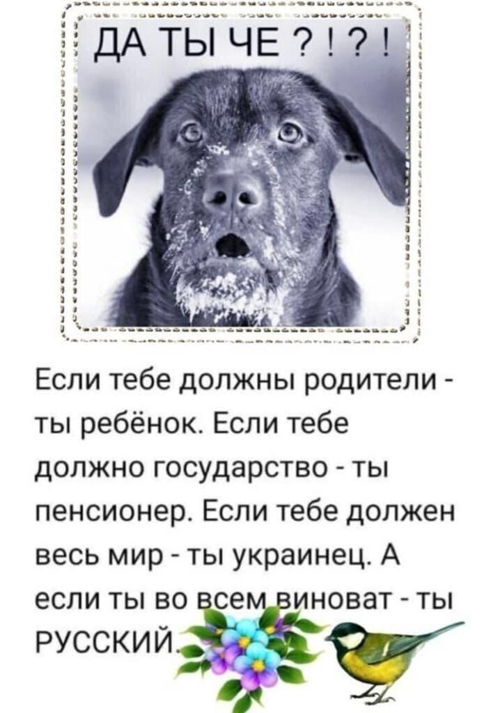 Если тебе должны родители ты ребёнок Если тебе должно государство ты пенсионер Если тебе должен весь мир ты украинец А если ты во оват ты РУССКИИ у