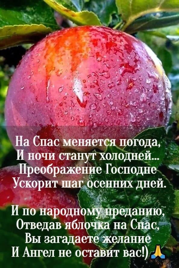 На Спас неняетвядогзда И ночи станут холодней Преображёнре Господне Ускоритчшатосенних дней Е И по народіч С щаЁЁі 3 Отведав яблочка на Снас Вы загадаетё желание_ И Ангел не оставит вас