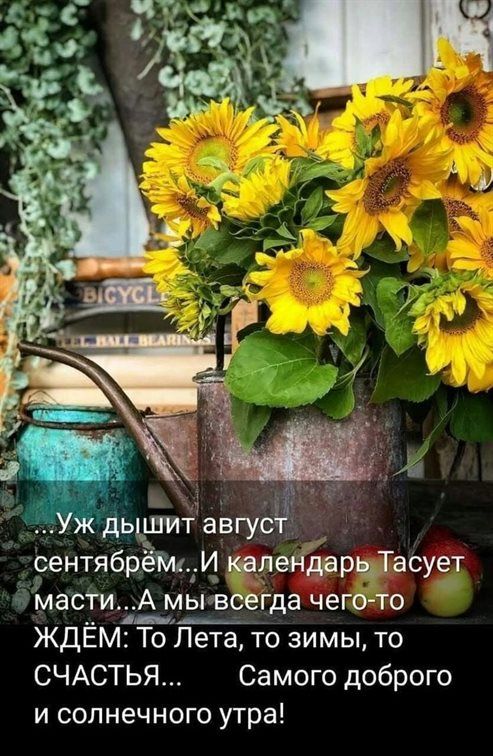 дышит авгус ы 9ентябрёіш1 ленъарцТасует Мас_1_и А мыгвсегда чего то ЖДЕМ То Лета то зимы то СЧАСТЬЯ Самого доброго и солнечного утра