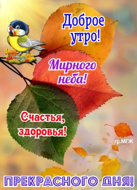 ПРЕКРАСНОГО Н Я