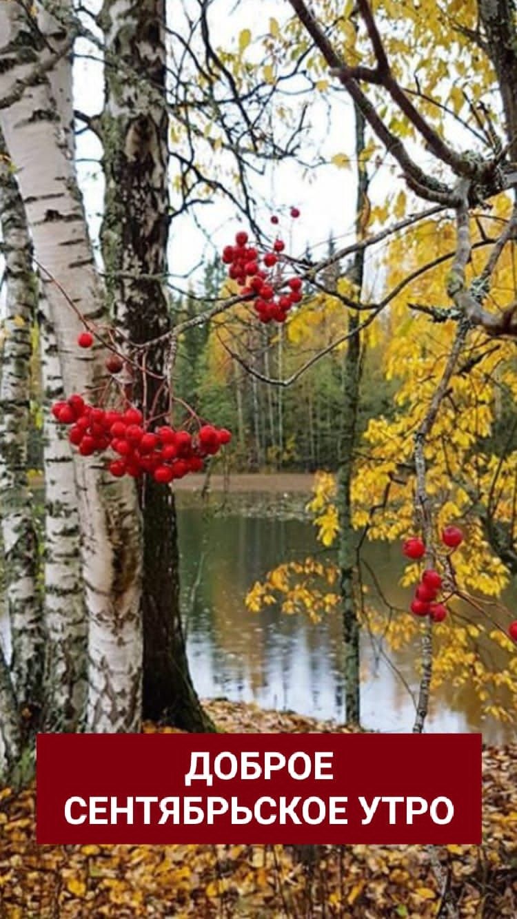 н у ЪБ_ ч ДОБРОЕ Е СЕНТЯБРЬСКОЕ УТРО е афИ _л_ о 3