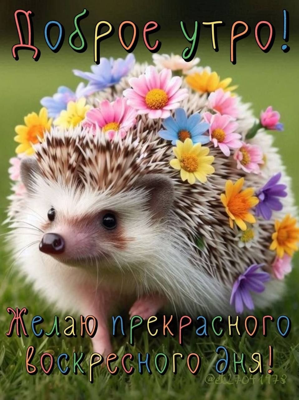 о4Ров МТРО ПЛар п РЕКРасКОГО ОООКЛИСН ГО УМ Я