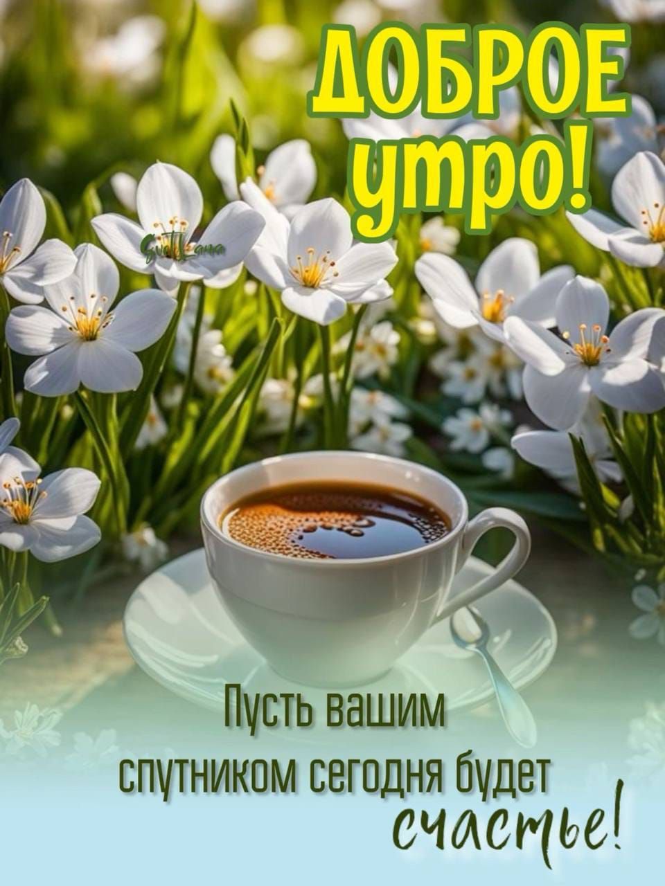 спутником сегодня будет счАСРье