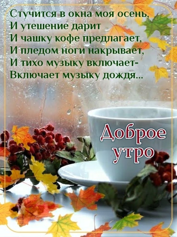 Стучится в окнамоя осень И утешение дарит И чашку кофе предлагает И пледом ногитакрываёт И тихо музыку включает Включает музыку дождя