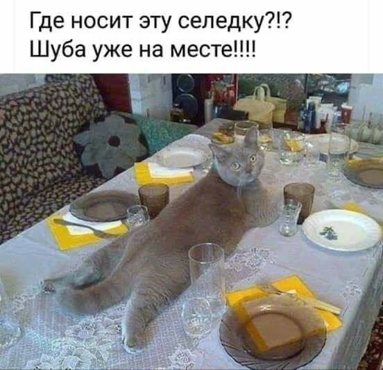 Где носит эту селедку Шуба уже на месте