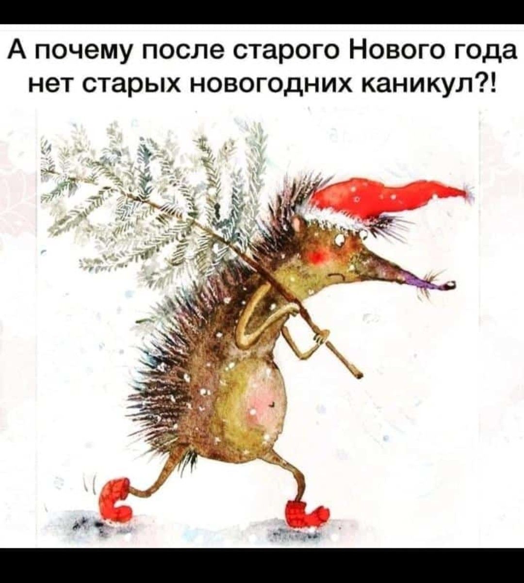 А почему после старого Нового года нет старых новогодних каникул