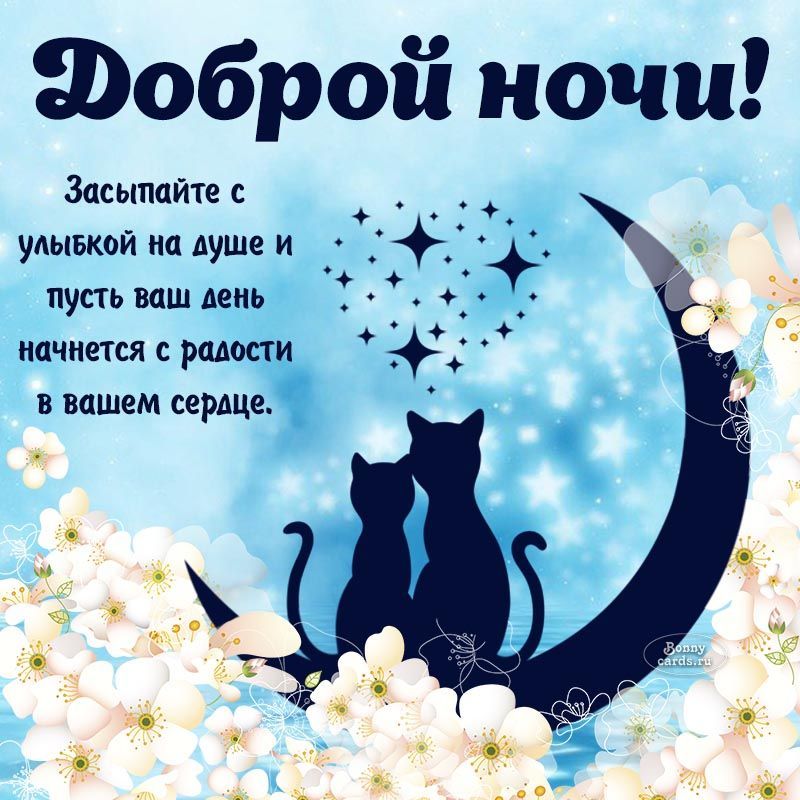 Фоброй ночи Засыпайте с й о 4 2008 улывкой на душеи ы пусть ваш день В 3 Фл о начнется с рад х в вашем сердце