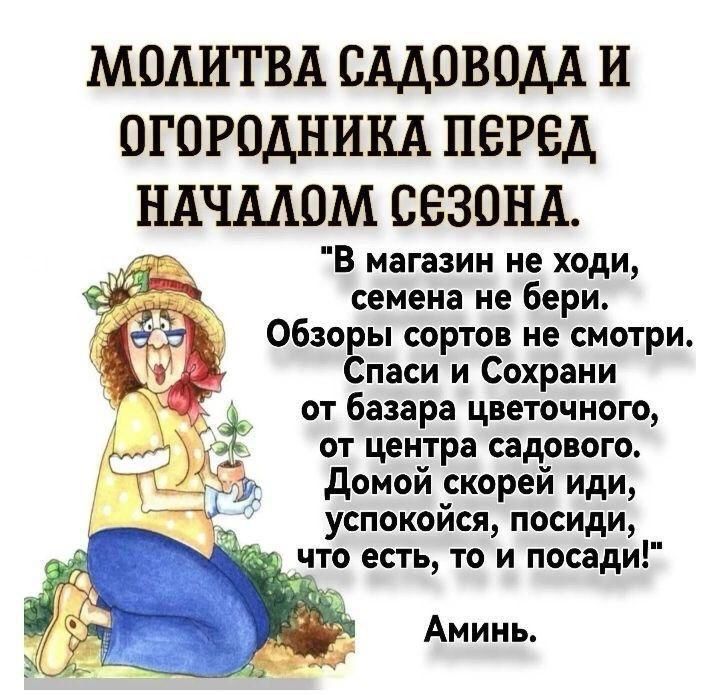 МОЛИТВА САДОВОДА И ОГОРОДНИКА ПЕРЕД НАЧАЛОМ СЕЗОНА В магазин не ходи ь семена не бери ОбзоЁы сортов не смотри паси и Сохрани от базара цветочного от центра садового Домой скорей иди успокойся посиди гто есть то и посади Аминь