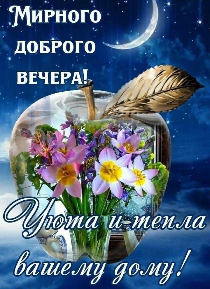 Мирного доброго вечера!
Уюта и тепла вашему дому!