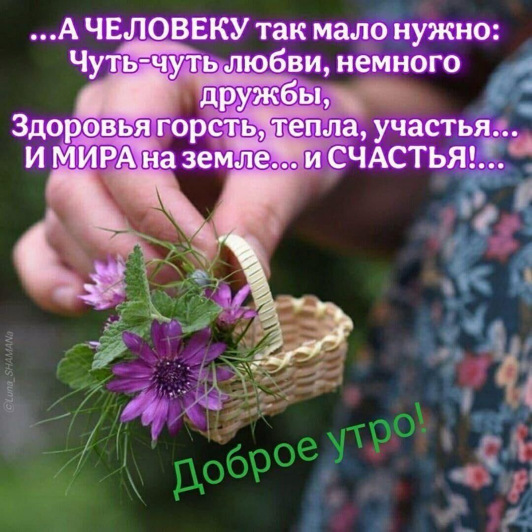 ...А ЧЕЛОВЕКУ так мало нужно: Чуть-чуть любви, немного дружбы, Здоровья горсть, тепла, участия... И МИРА на земле... и СЧАСТЬЯ!... Доброе утро!