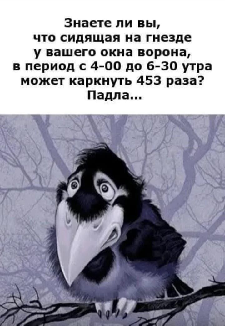 Знаете ли вы, что сидящая на гнезде у вашего окна ворона, в период с 4-00 до 6-30 утра может каркнуть 453 раза? Падла...